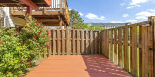 8220 RAMSEUR Place Gallery 51