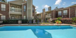 Pine Hills Gallery 10