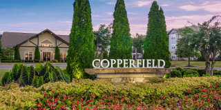 Copperfield Gallery 1