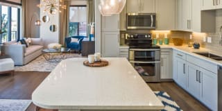 Palmetto Promenade Gallery 14