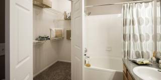 Alvista Bowie Gallery 7