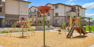 Prose Ascend Gallery 49