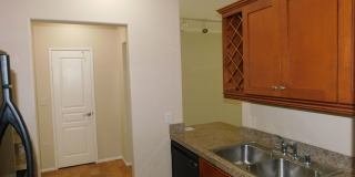 Watermarke Condo 1bed 1 bath Gallery 10