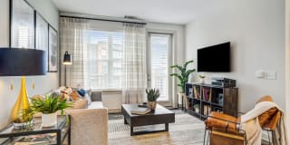 The Everly Gallery 11