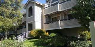 26956 Flo Lane Gallery 1