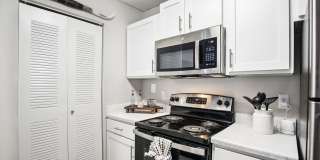 Harmony on Main Gallery 8