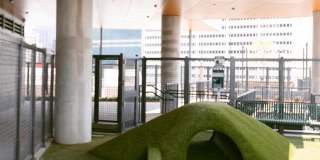 The Mitchell Gallery 23