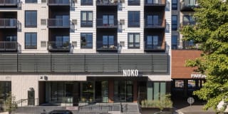 Noko Gallery 1