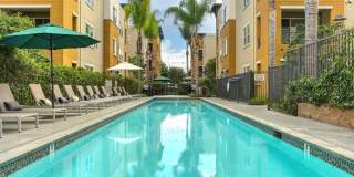 Palomar Station Gallery 1