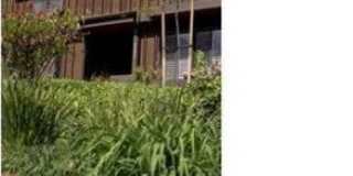 2221 Mount Shasta Drive Gallery 1