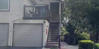 3463 Caminito Sierra #303 3463 Caminito Sierra #303 Gallery 15