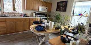 43 Surrey Gallery 4