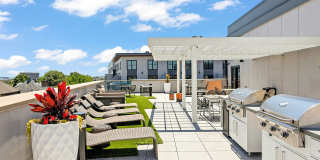 The Whit Gallery 31