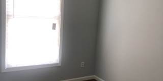 CSF Gallery 7