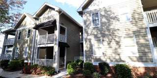 510 Springfork Drive unit: 510 Gallery 1