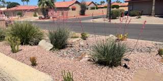 26206 S Buttonwood Dr Gallery 2