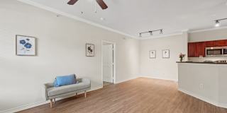 Tiburon Gallery 4