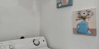 Driscoll Place Gallery 10
