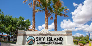 Sky Island Gallery 3