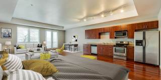 Zuma Apartments Gallery 3