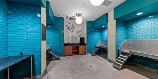 Hawkins Press Gallery 19