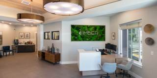 Imber at Union Mills Gallery 29