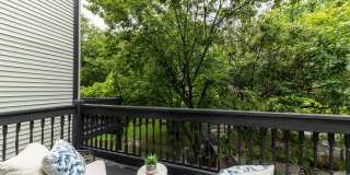 Cooper Creek Gallery 5
