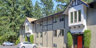 Forest Hill Village Gallery 37