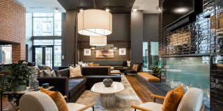 NOVEL Scotts Addition Gallery 23