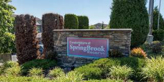 Springbrook Reserve Gallery 10