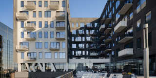 80 on the Commons Gallery 15