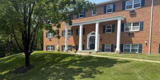 Apartments at North Park Gallery 21