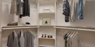 Terra at Enchanted Hills Gallery 7