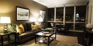 Ovation 309 Gallery 11