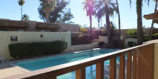 Palm Garden Gallery 14