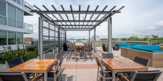 Ovation 309 Gallery 37