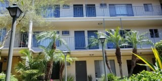 Velvet Green Apartments Gallery 8