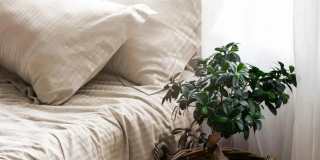 Maya at White Rock Gallery 1