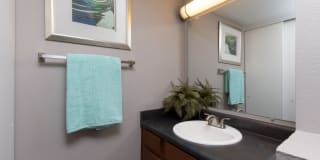 Olive Tree Gallery 11