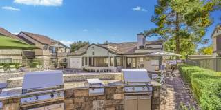 Desert Sage Gallery 41