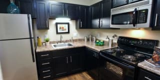 Goldelm at Cedar Bluff Gallery 2