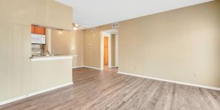 Raintree Gallery 10