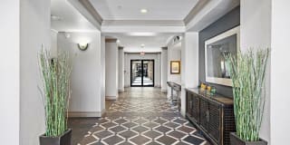 Rise at Elmside Gallery 13