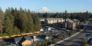 Wellstone Gallery 21