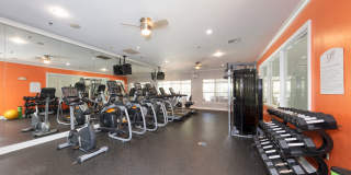 Park Place at Van Dorn Gallery 29