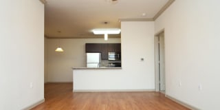 Lexington Place III Gallery 5