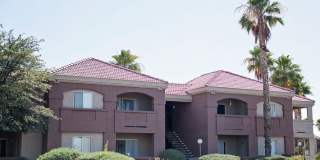 Palm Terrace Gallery 1