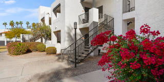 The Residences at Palm Valley Gallery 28