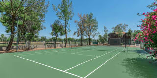 La Estancia Apartments Gallery 41