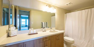 Harborside Marina Bay Gallery 6